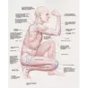 Anatomia artistica della figura umana in movimento
