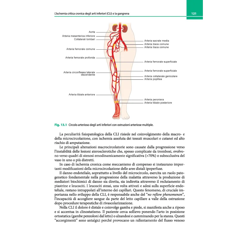 Lezioni di Geriatria