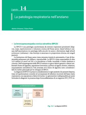 Lezioni di Geriatria
