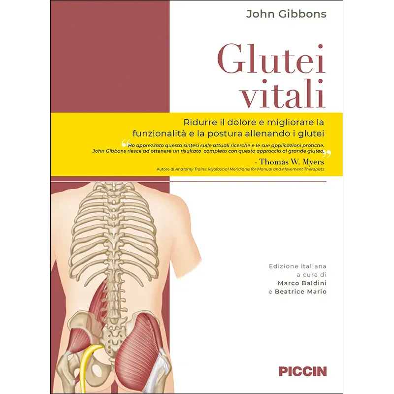 Glutei vitali. L’importanza di connettere il ciclo del passo al dolore e alla disfunzione