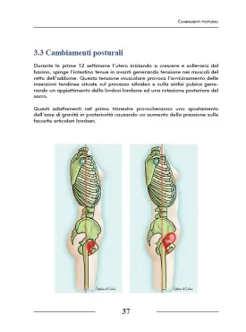Trattamento manuale della donna in gravidanza