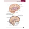 Atlante di anatomia