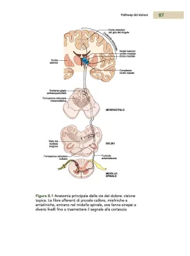 Fondamenti di Anestesia, Medicina perioperatoria e Medicina Critica