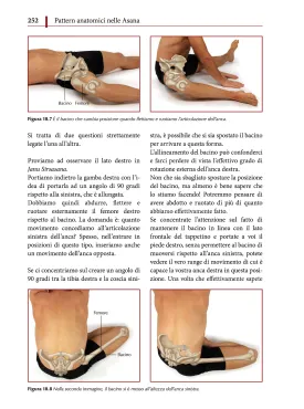 Anatomia funzionale dello Yoga. Una guida per praticanti e insegnanti