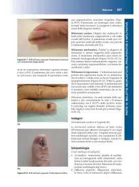 Manuale di Dermatologia di Rook