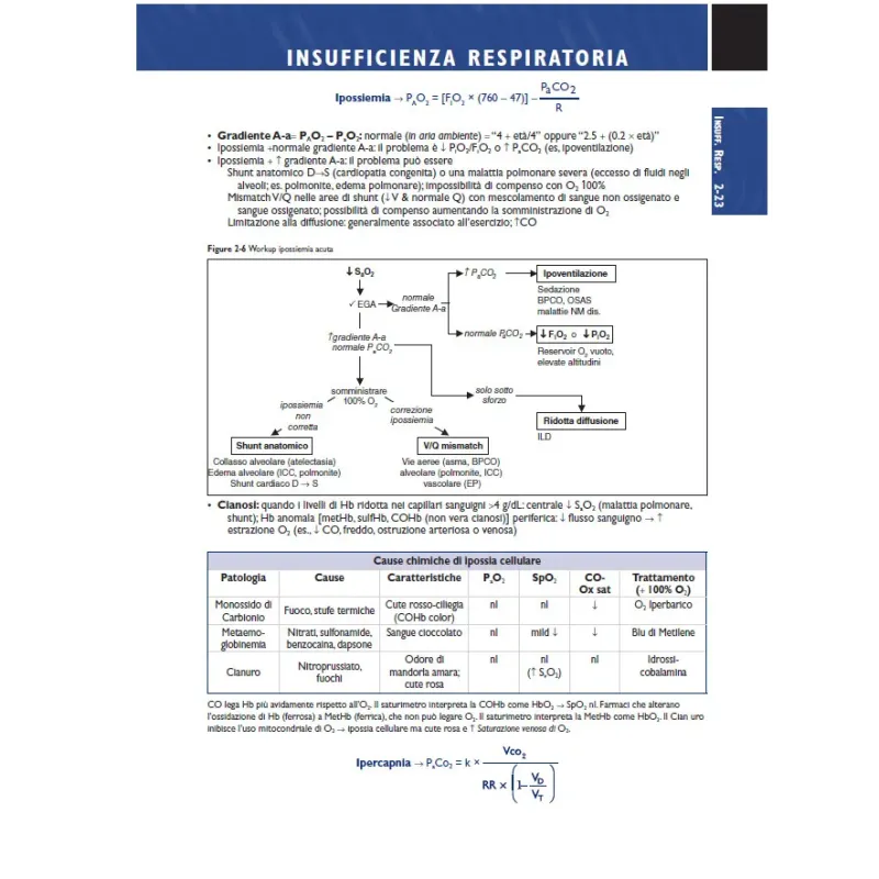 Il tuo tascabile di Medicina