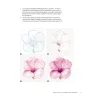 Il piacere del disegno botanico