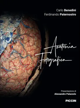 Anatomia Fotografica