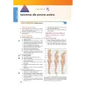 Esame di Stato e Concorsi per Infermiere - Teoria