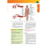 Esame di Stato e Concorsi per Infermiere - Teoria