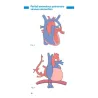 Pocketbook of congenital heart disease