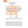 Fisiologia del sistema endocrino e riproduttivo