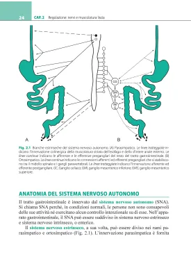 Fisiologia gastrointestinale