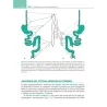Fisiologia gastrointestinale