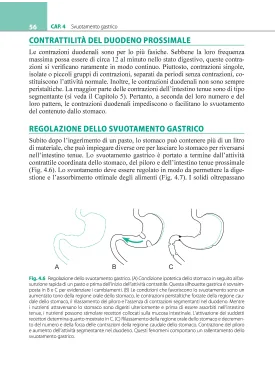 Fisiologia gastrointestinale
