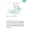 Fisiologia gastrointestinale