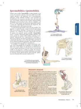 Guida ai sentieri del corpo in movimento