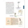 Guida ai sentieri del corpo in movimento