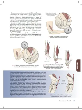 Guida ai sentieri del corpo in movimento