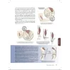 Guida ai sentieri del corpo in movimento