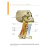 ATLANTE FOTOGRAFICO DI ANATOMIA MACROSCOPICA DELL'UOMO