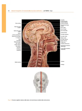 ATLANTE FOTOGRAFICO DI ANATOMIA MACROSCOPICA DELL'UOMO