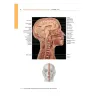 ATLANTE FOTOGRAFICO DI ANATOMIA MACROSCOPICA DELL'UOMO