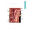 ATLANTE FOTOGRAFICO DI ANATOMIA MACROSCOPICA DELL'UOMO