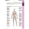 Kumar & Clark’s Medicina interna