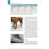 Trattato di medicina clinica del cane e del gatto