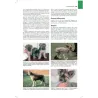 Trattato di medicina clinica del cane e del gatto