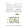 Fisiologia e sviluppo vegetale