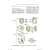 Fisiologia e sviluppo vegetale