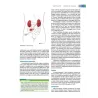 Curriculum di base. Gestione delle stomie
