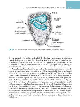 Fisiologia cardiovascolare