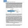 Fisiologia cellulare e neurofisiologia