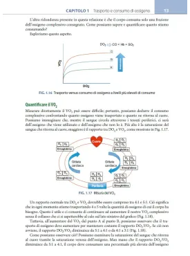 Il libro dell’ECMO