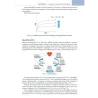 Il libro dell’ECMO