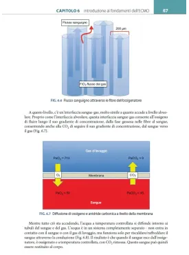 Il libro dell’ECMO