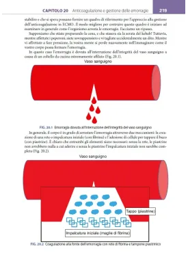 Il libro dell’ECMO