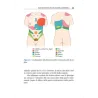 Vademecum di Gastroenterologia – Dai sintomi alla diagnosi