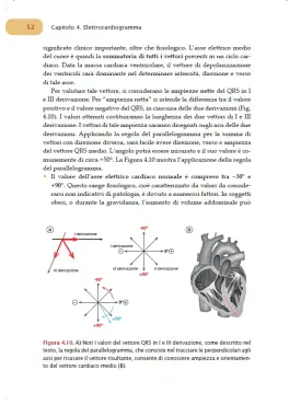 Fisiologia dell’apparato cardiovascolare