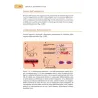 Fisiologia dell’apparato cardiovascolare