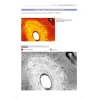 Colorare l'Istologia