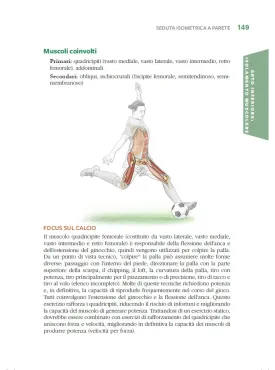 Calcio e anatomia umana