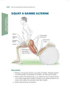 Calcio e anatomia umana