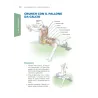 Calcio e anatomia umana
