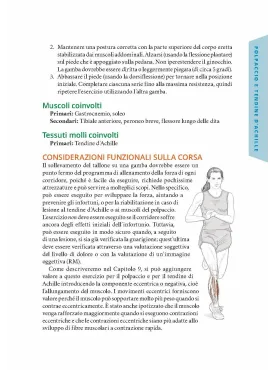 Corsa e Anatomia umana