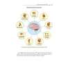 L’unico libro di Neurologia di cui avrai bisogno