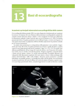 Medicina cardiorespiratoria del cane e del gatto